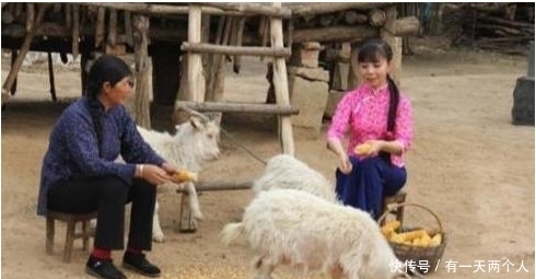 人生赢家|从一级演员到家庭少妇,放弃名利回农村的王二妮,活成了人生赢家