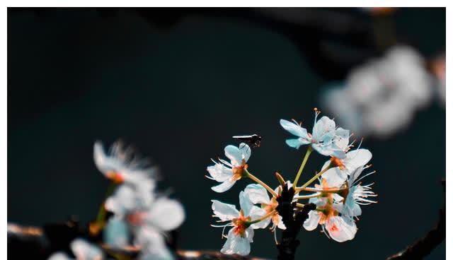 接纳!《论语》:改变命运,从学会接纳开始