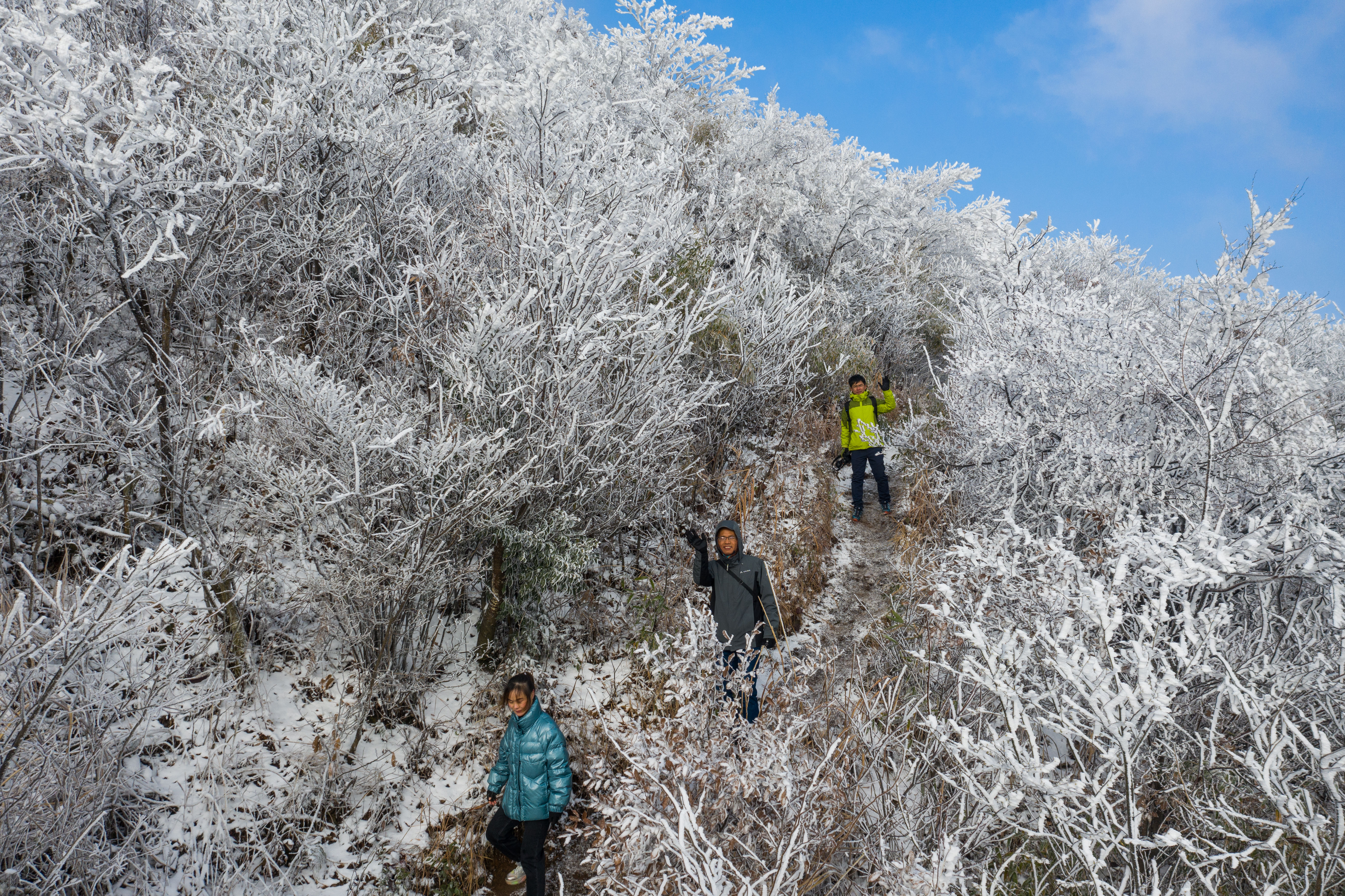 雾凇|冰花弥漫 上下一白 永康大寒山雪后雾凇惊艳