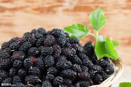 桑葚干|建议退休老人多吃下面这些食物，价格便宜又营养，常吃气色好
