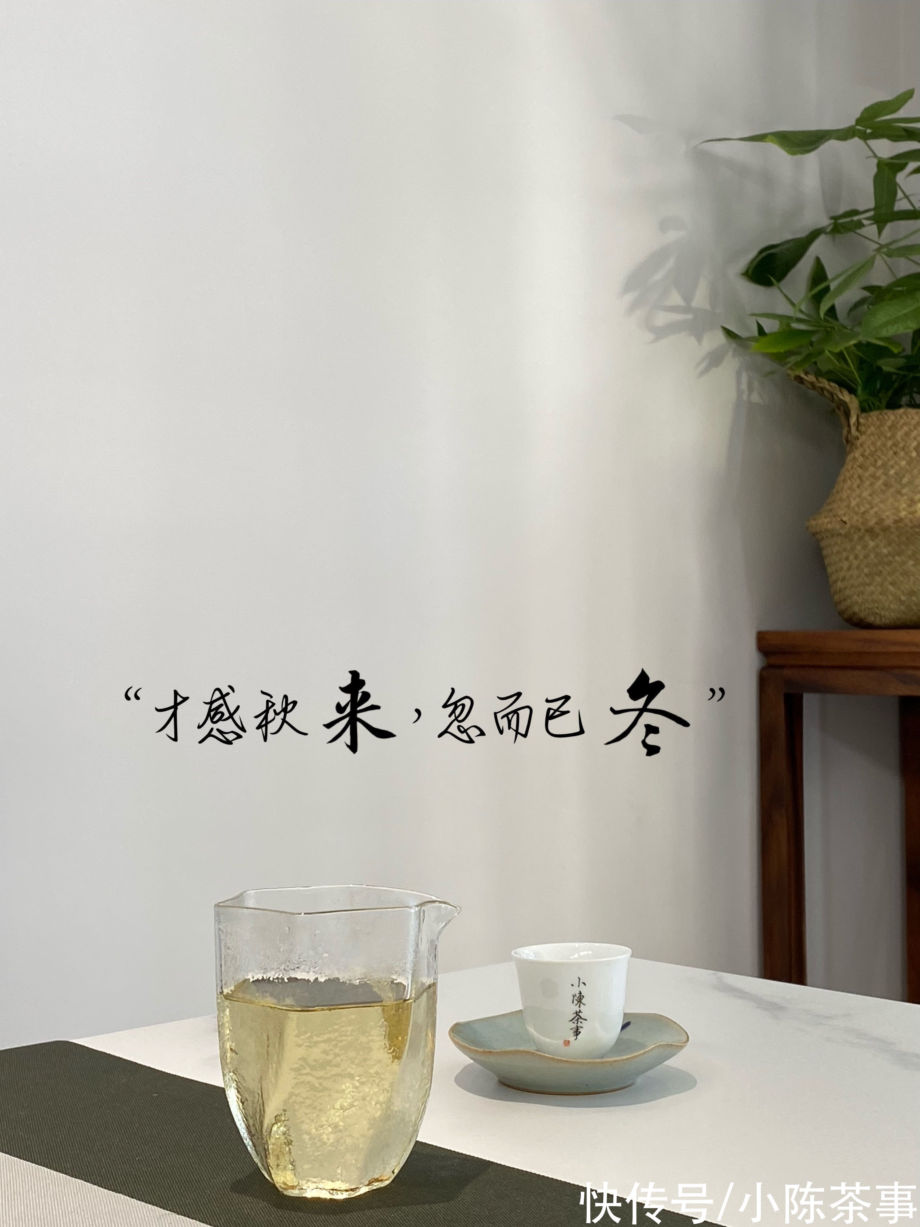 茶客#玻璃杯、紫砂壶、白瓷盖碗，谁才是适合冲泡白茶的茶具呢