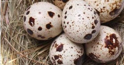 女性養(yǎng)生，常吃3種食物，補益氣血，排毒抗衰，預(yù)防婦科病