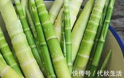 受损|医生提示:肠胃不好,4类蔬菜要少吃,过量食用,或会损坏胃粘膜