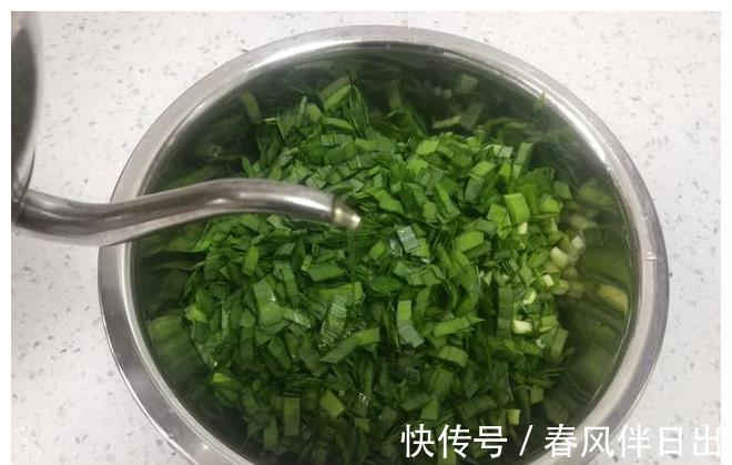 纤维素|这种蔬菜被称为“洗肠草”，纤维素比芹菜还高，用来包饺子超好吃
