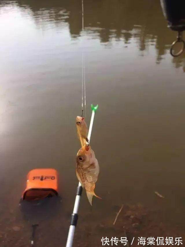 老婆|娶个钓鱼高手当老婆是种什么体验，有人说很幸福！