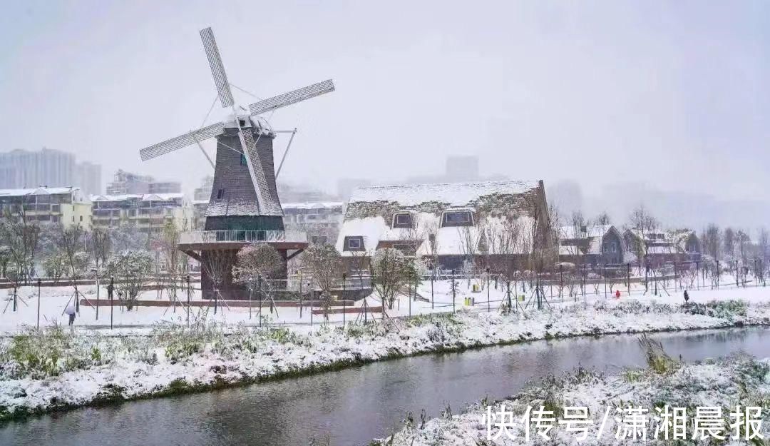 李蕾|组图｜雨花雪景还没赏够？看这里！惊艳nice“绝绝子”