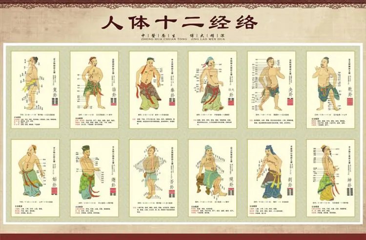 图解黄帝内经|《黄帝内经》8大养生智慧：顺时令，养气血，活出精气神儿