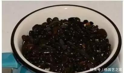 发芽的胡萝卜,吃剩的水果核都别扔,一周让家里长满绿植