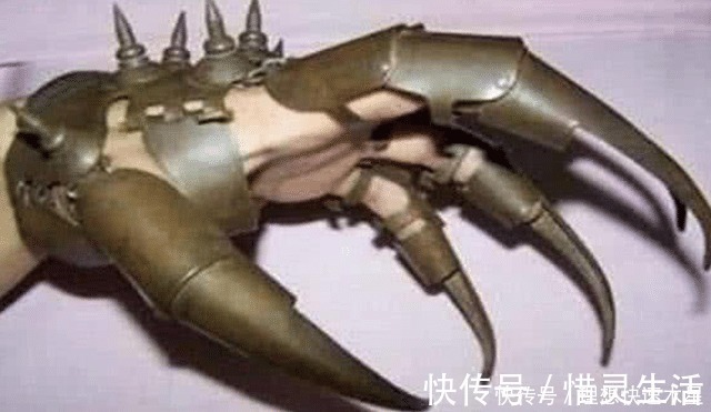 查克拉|兵器越怪,死得越快!第2取名“查克拉”,动漫迷一定都认识