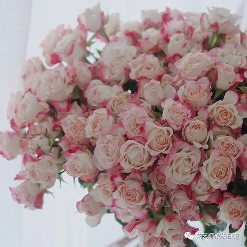 奇思妙想|花艺奇思妙想那些油画配色的绝美花艺作品