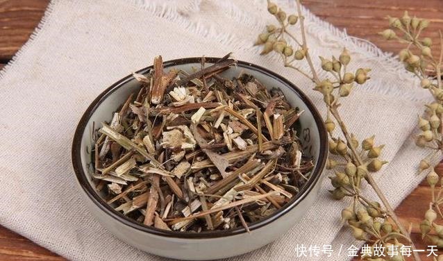 野地一种“鬼针草”,农民都讨厌它,却不知它是草药的瑰宝