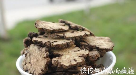 食物|高血压最“怕”的几种食物，每天坚持吃一点，排出血液垃圾降血压