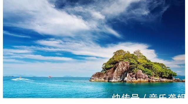 《荒岛余生》:一个带血的排球,一个灵魂的救赎。建议收藏