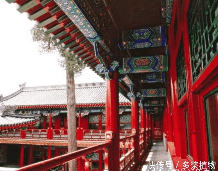 买不起|名副其实的豪宅“恭王府”, 世界首富都买不起, 为何如此之贵