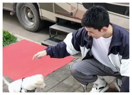 长歌行|吴磊把狗狗当孩子，霸总式的抱狗，让赵丽颖都不敢乱动了