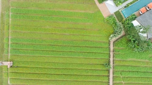 味道|食味安仁|舌尖上的二十四节气,小隐臻品时光味道