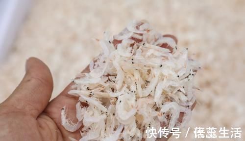 虾青素|一样是虾皮，买黄的还是买白的，品质相差大，以后不要乱买了