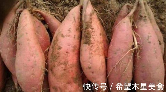 原来保存红薯这么简单!教你一招,放1年不烂不发芽,还软糯香甜!