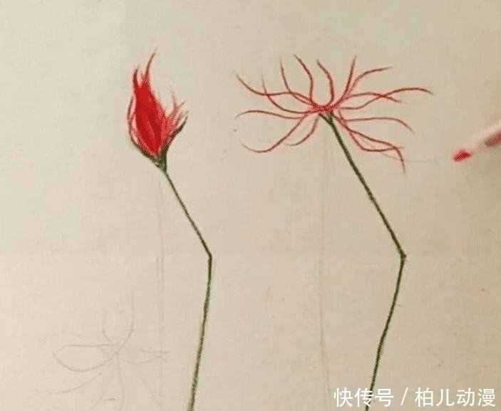 画纸|开始以为是劣质美术生,画朵花杆都“折”了,对着画纸后打脸了