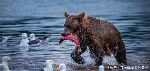 俄罗斯最无奈的地区，拥有3百多座火山，一年有8个月被冰雪覆盖