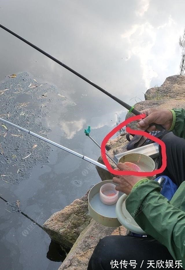 向高龄钓友请教的“摇三摇”钓法,毫无保留的分享给大家