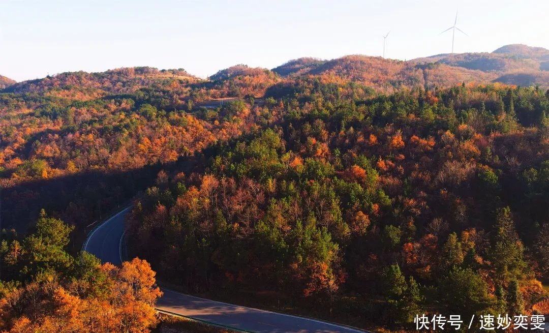 公路|这条藏在远安的旅游公路，惊艳了秋天，美成了童话