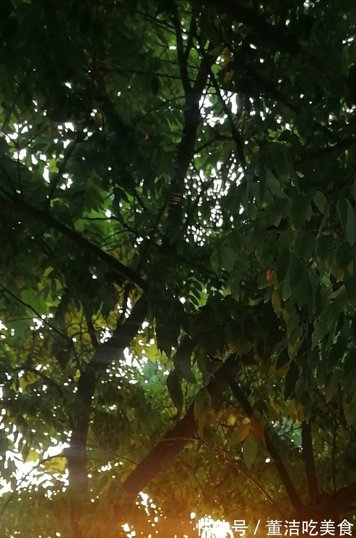 中华诗词|七言顶真诗（原创首发）又念启华真英雄