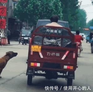 小姐姐|囧图丨老兄你XP也太怪了