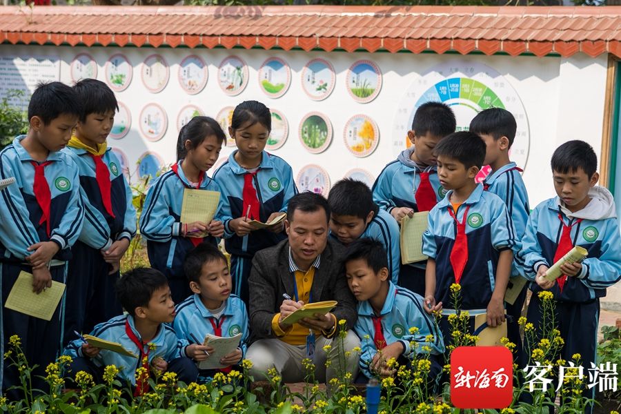 菜地|儋州藤根小学：把课堂搬到菜地 七彩田园课程让孩子快乐学习