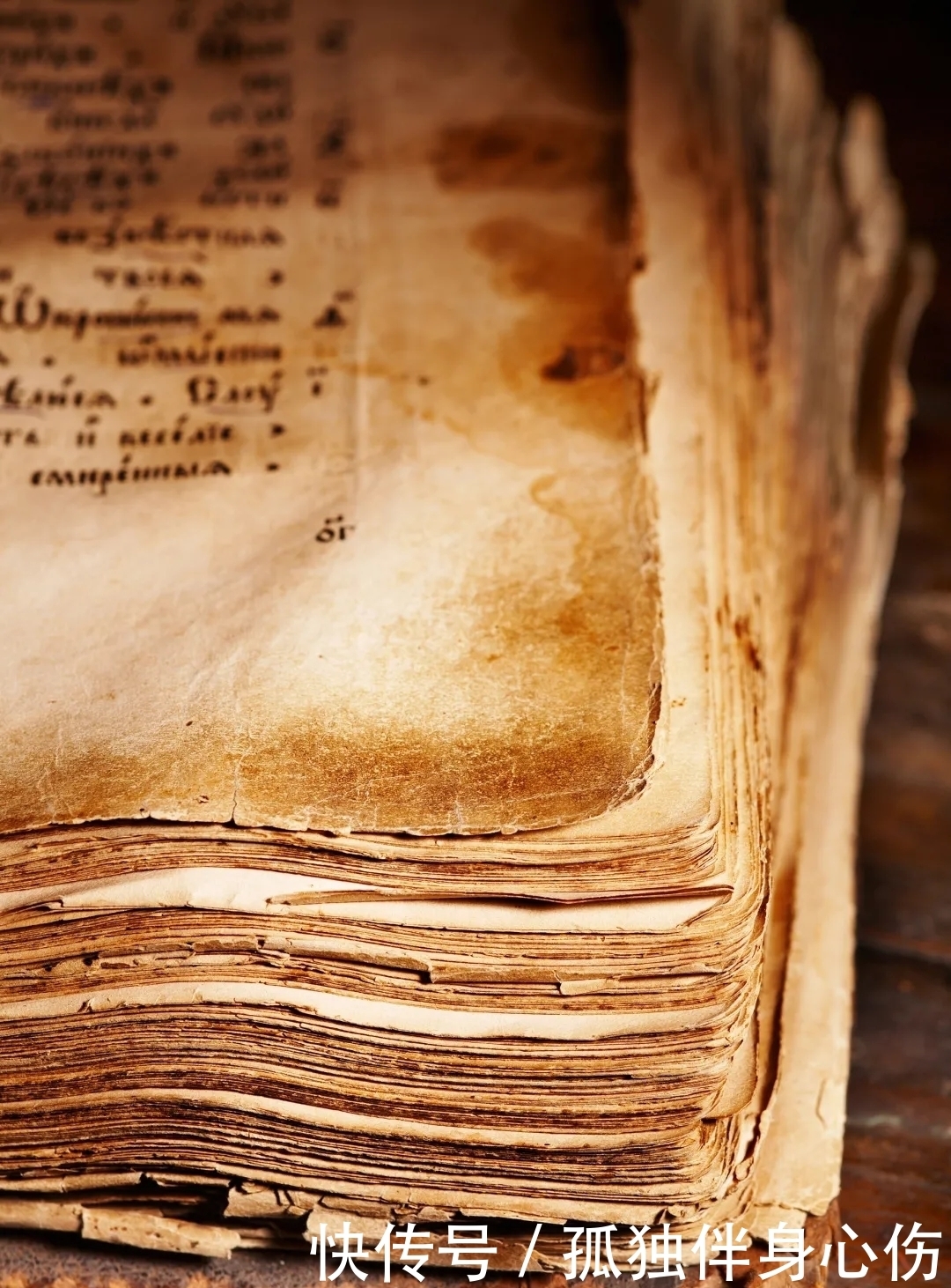 早期教父的政治思想（中）