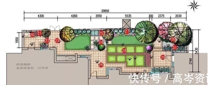 小区|坐拥270㎡大院子,她如何用五年时间,打造成了全小区最美的花园