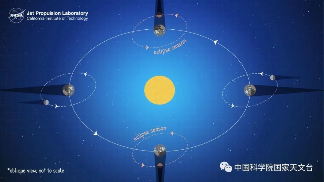 满城 “超级月全食”全程回放，漳州满城“追月人”~