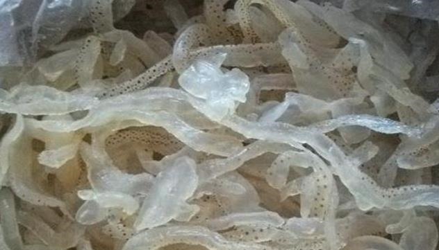 海蜇皮|四种人工合成的“垃圾食品”，你若全部吃过，那真是太倒霉了