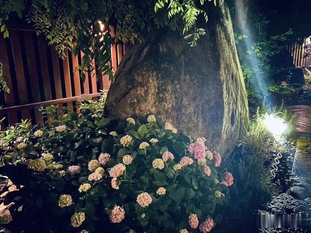 圆滚滚的绣球，瀑布般的花墙，这届花友也太会种花了吧