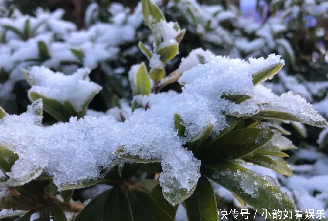 写意天池，童话天子山，一波云龙雪景美图来袭