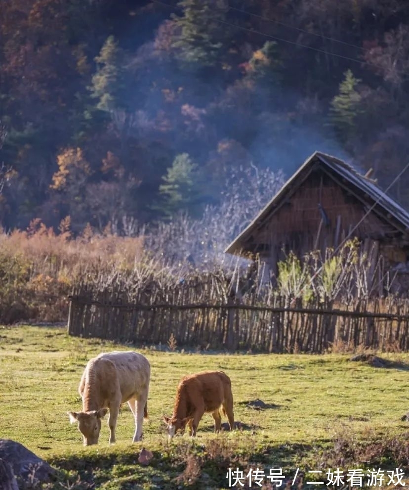 秘境|秦岭山野深处，误入雷阿诺的油画秘境