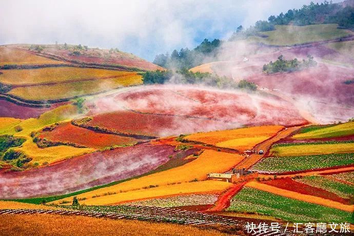 赏花|罗平赏花攻略，万亩油菜花开成海