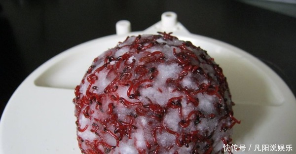 长竿短线|冬钓鲫鱼基本规律,觉得冬季鱼难钓,那是这些基本套路没掌握!