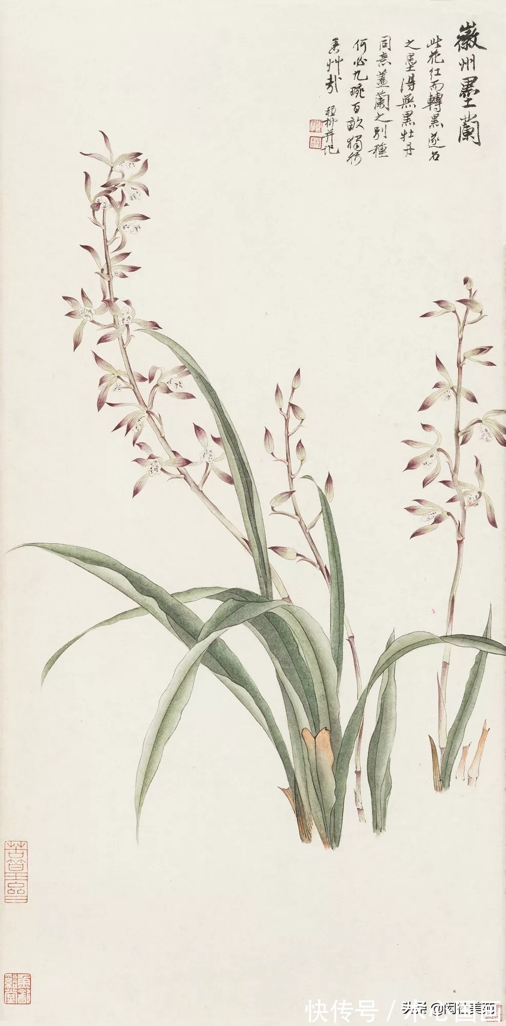 素心!兰画兰诗两芬芳