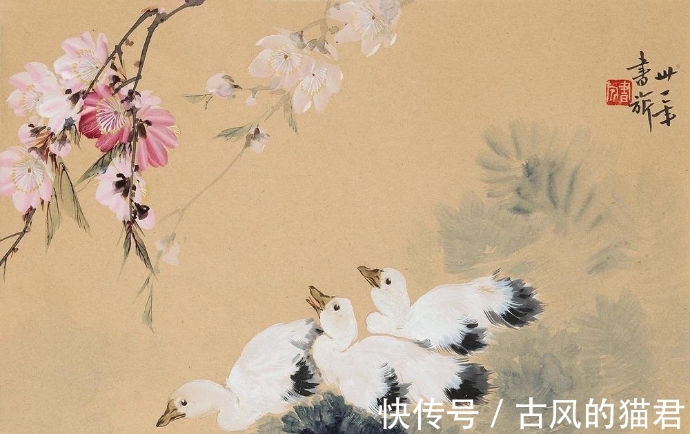 花鸟画!独特的魅力|张书旂花鸟画