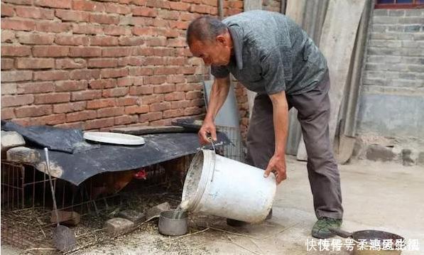 俗语:男怕三六九,女怕二五八是什么意思?