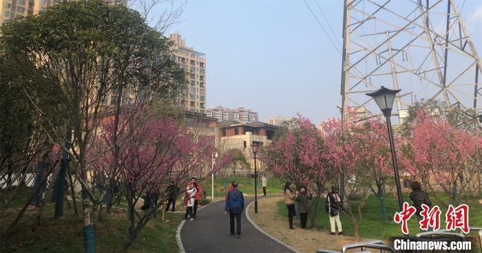 天晴宜出游 湖北景区接待量明显提高