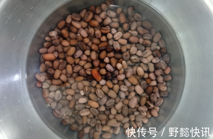 愿君多采撷|这食物,女性每天可以当零食吃,排毒消肿,改善贫血,早吃早受益