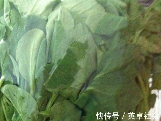 辅食|宝宝一岁以前,4种辅食可以多吃点,可能对孩子的发育有好处