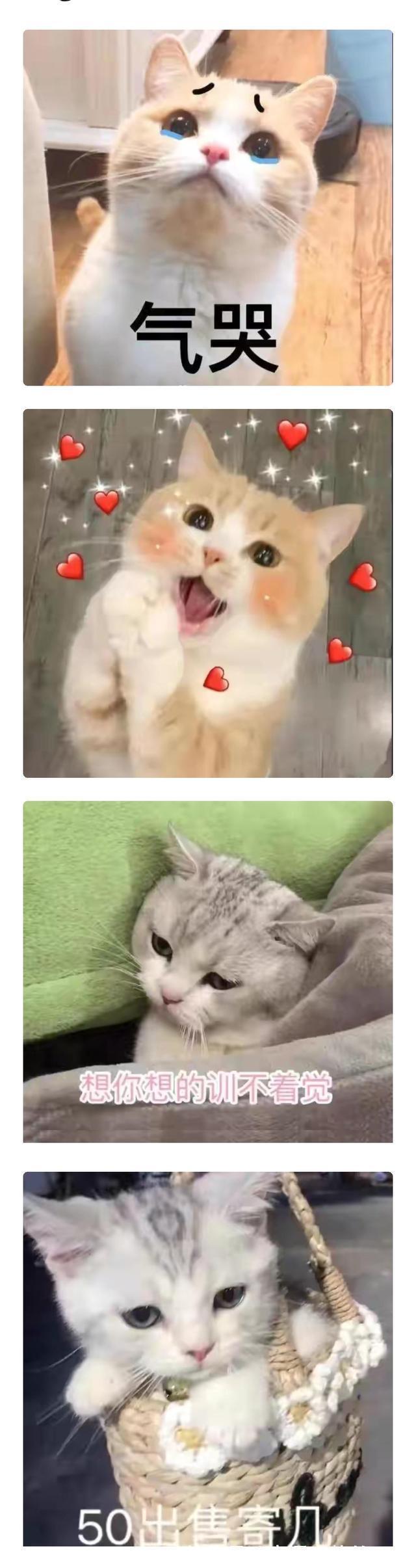 |搞笑图集:团长考上大学了,把意大利炮拉出来放两炮助助兴