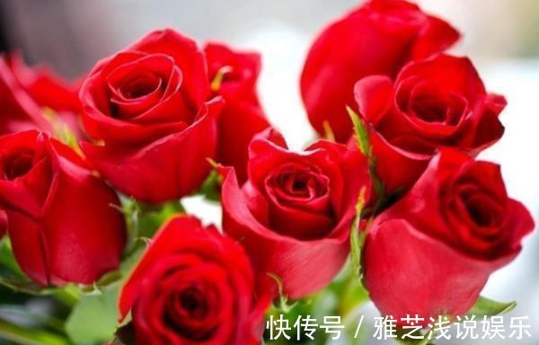 喜欢玫瑰,就选“珍稀名品”卡罗拉,标准玫瑰红,高贵优雅