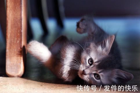 |幽默笑话:今天,我遇到了前女友,她说的话,让我胜读十年书!