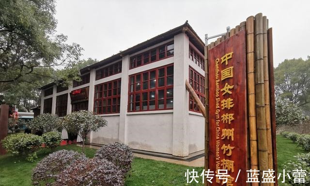 娘家|“女排娘家”话女排精神!