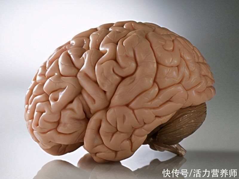 我国公认的3大健脑食物,每天吃一点可预防脑萎缩,抗衰老有妙招