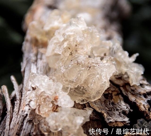 女人|别嫌它丑，却是“天然碱性物”，女人吃一点，保养皮肤更细腻